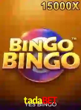 bingobingo